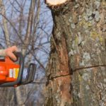 Tips To Select The Right Tree Surgeon